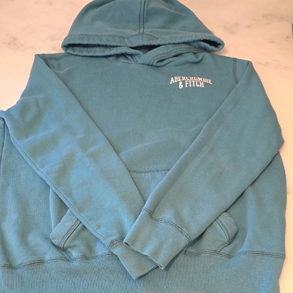 Abercrombie Kids Aqua Hoodie